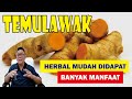 TEMULAWAK............... BAHAN HERBAL MUDAH DIDAPAT, BANYAK MANFAAT