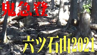 六ツ石山2021鬼急登の水根ルート＠東京都奥多摩町