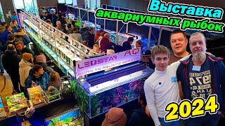 Выставка аквариумных рыбок 2024 Обзор акваскейпов и травников!