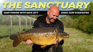 CARP FISHING at The Sanctuary Lake with carp angling pro Dave Levy | Mainline Baits Carp Fishing TV