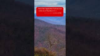 Roanoke