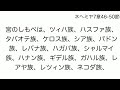 「神の家族」ネヘミヤ記7章1 72節 那須孔明師 2024年11月3日