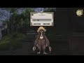 ffxiv a realm reborn main scenario quest microbrewing