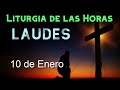 laudes de hoy viernes 10 de enero de 2025 liturgia de las horas oraciÓn de la maÑana