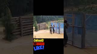 කාටද? මතක | Army Special Training #shorts #short #trending #viral #new #top #army #viralvideo #video