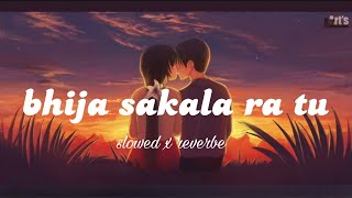 bhija sakala ra tu odia lofi song ❤️