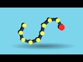 Coding a rope in a secret language you have no access to (Rope in Jai - Ep.01)