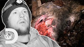 Pack Of Coyotes Massacred In The Mountains! | Mountain Monsters