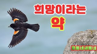 [좋은글좋은사진] 희망이라는 약.....회생 불가 판정을 받은 뇌암 환자의 기적 같은 회복 이야기