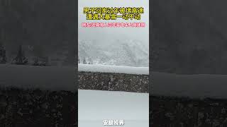 男子过年开电车回家上高速遇大暴雪大堵车一动不动，这回要在高速上面过年啦，一动不动 #搞笑