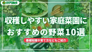 収穫しやすい家庭菜園におススメの野菜10選｜初心者でも育てやすい品種を中心にご紹介【SELECT】