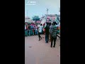 raees horse video