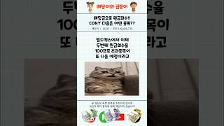 배당금으로 감히 원금회수를?? Cony 다음 타자는요??