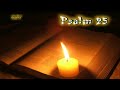 19 psalm 25 holy bible kjv