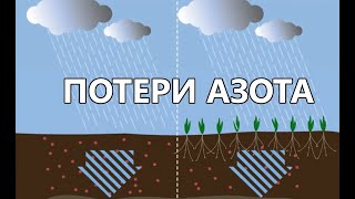 Нитратный азот. Потери за счет вымывания по сезонам года