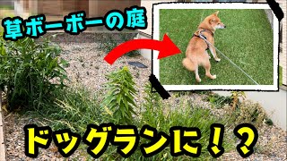 庭ドッグラン化計画！！！草ボーボーだった庭がお散歩嫌いの柴犬が遊べるドッグランに！？