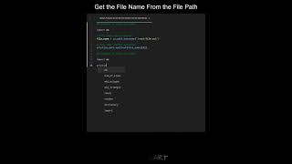 Get the File Name From the File Path in Python | Python Examples | Python Coding Tutorial