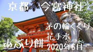 【花手水　京都】 今宮神社　あぶり餅　花手水　茅の輪くぐり　　【そうだ京都行こう】