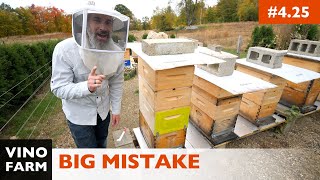 A Beekeeping Lesson: Learn From My Mistake! (Carniolan Hive Update)