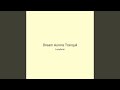 Dream Aurora Tranquil
