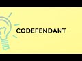 What is the meaning of the word CODEFENDANT?