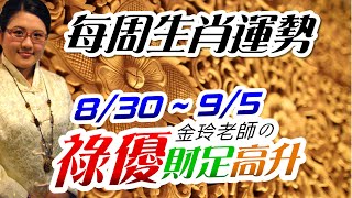 下弦捨棄。2021生肖運勢週報｜8/30-9/5｜金玲老師（有字幕）