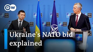 Zelenskyy's NATO bid tour: What does Ukraine really want? | DW News