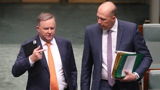 'Not a single word' was proposed by Dutton at Voice meetings: Albanese