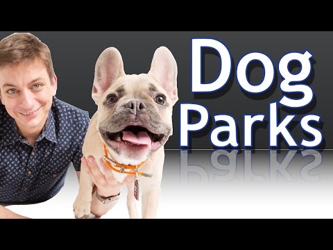 Are Dog Parks a Good Idea for your Dog? Are Dog Parks a Good Idea for your Dog?