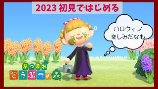 🔴【あつ森】#37 🎃ハロウィン🎃の準備だなも🌟2023年今頃はじめる無人島生活🏝