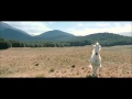 LOTR The Two Towers - Shadowfax