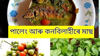 পালেং শাক আৰু কনবিলাহীৰে মাছ  Fish with spinach \u0026 cherry tomatoes