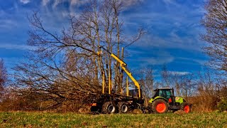 Nisula 205E  energy wood head working in the park with professional forestry machines by ONIAR