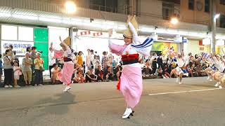 鳴門市阿波踊り「葉月連」徳島市超人気連 登場！カッコいい！