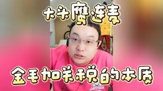 【大头鹰连麦】金毛加关税的本质 #大头鹰 #大头鹰解惑