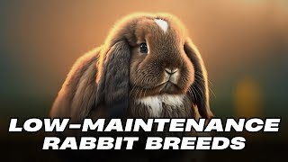 Top 10 Low-Maintenance Rabbit Breeds