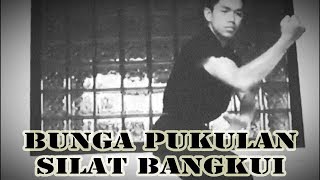 SILAT SENDENG KOMBINASI 7/12  -  BUNGA PUKULAN BANGKUI ISI SI BUAH PUKUL