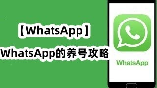 WhatsApp的养号攻略#WhatsApp养号秘籍#WhatsApp养号技巧#WhatsApp 养号指南#WhatsApp养号策略