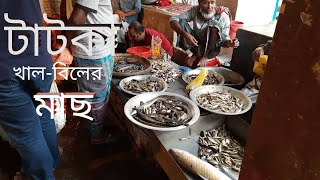 তাজা দেশীয় মাছের দাম কেমন ? || Fish Market