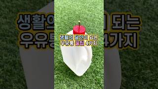 지금 당장 플라스틱 우유통에 못 박아 보세요 ㅋㅋ #봄집사