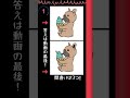 【脳トレ】3つの間違い探し！ 脳トレ 犬