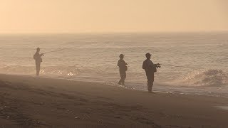 遠州灘海岸物語42　ヒラメ・カンパチ・キス