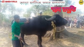 কাড়া মালিক সমর মাহাতো রঘুডি//Kara Malik Samar Mahato Roghudi