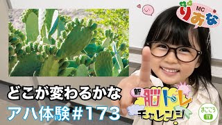 新脳トレ超難問アハ体験#173【まごころTV】どこが変わった見つけてね♪