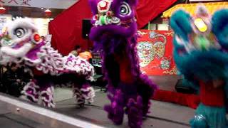 Party Rock Anthem Lion Dance Performance at the Chinese Cultural Centre 2012