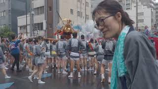 深川八幡祭り（富岡八幡宮例大祭）神輿連合渡御　新川越一　 2023/8/13 e5