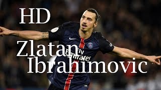 Zlatan Ibrahimovic GOAL vs Toulouse(HD)