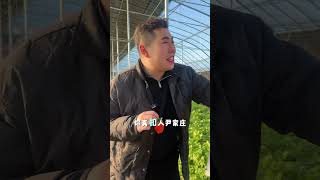 家人们注意啦！准备薅草莓采摘园的羊毛！1.8号直播间，草莓采摘的价格惊爆大家。 草莓采摘园 新鲜采摘 亲子采摘 吃货福利 直播秒杀