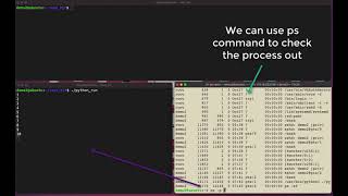 Linux rootkit to hide a PROCESS