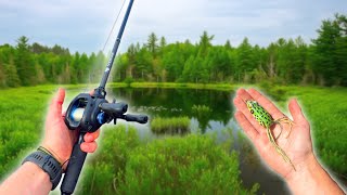 Searching Wisconsin Hidden Fishing Spots!